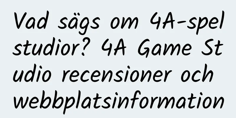Vad sägs om 4A-spelstudior? 4A Game Studio recensioner och webbplatsinformation