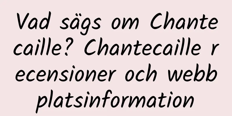 Vad sägs om Chantecaille? Chantecaille recensioner och webbplatsinformation