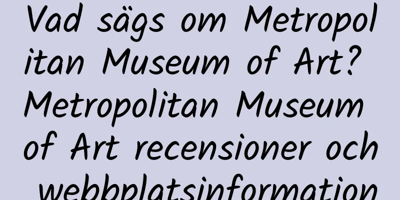 Vad sägs om Metropolitan Museum of Art? Metropolitan Museum of Art recensioner och webbplatsinformation