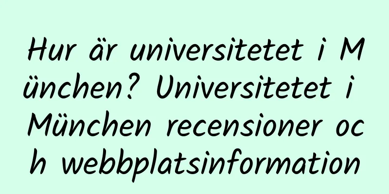 Hur är universitetet i München? Universitetet i München recensioner och webbplatsinformation