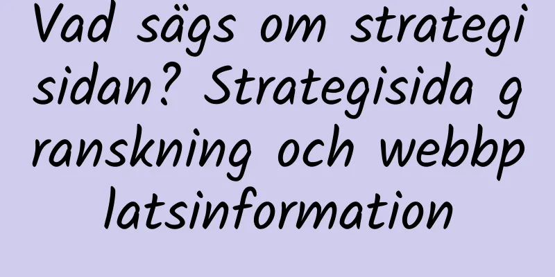 Vad sägs om strategisidan? Strategisida granskning och webbplatsinformation