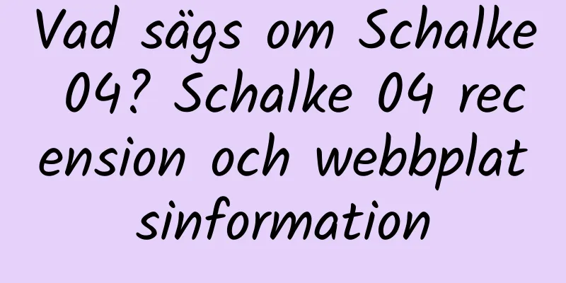 Vad sägs om Schalke 04? Schalke 04 recension och webbplatsinformation