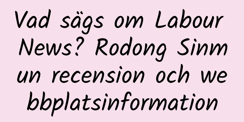 Vad sägs om Labour News? Rodong Sinmun recension och webbplatsinformation