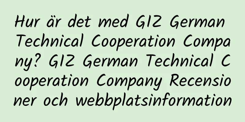 Hur är det med GIZ German Technical Cooperation Company? GIZ German Technical Cooperation Company Recensioner och webbplatsinformation