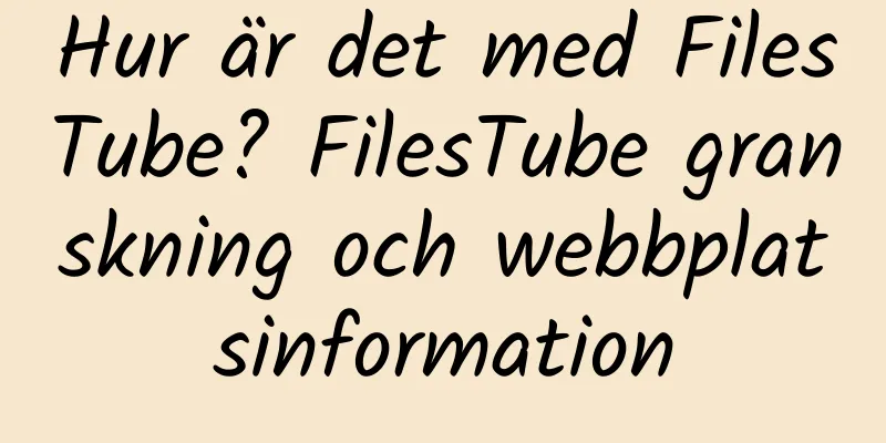 Hur är det med FilesTube? FilesTube granskning och webbplatsinformation