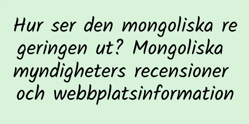 Hur ser den mongoliska regeringen ut? Mongoliska myndigheters recensioner och webbplatsinformation
