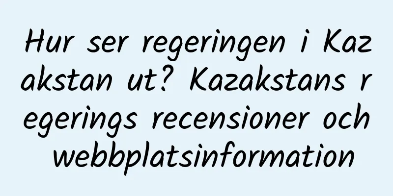 Hur ser regeringen i Kazakstan ut? Kazakstans regerings recensioner och webbplatsinformation