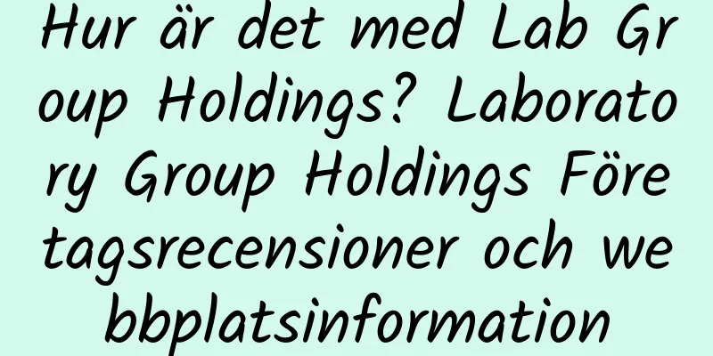 Hur är det med Lab Group Holdings? Laboratory Group Holdings Företagsrecensioner och webbplatsinformation