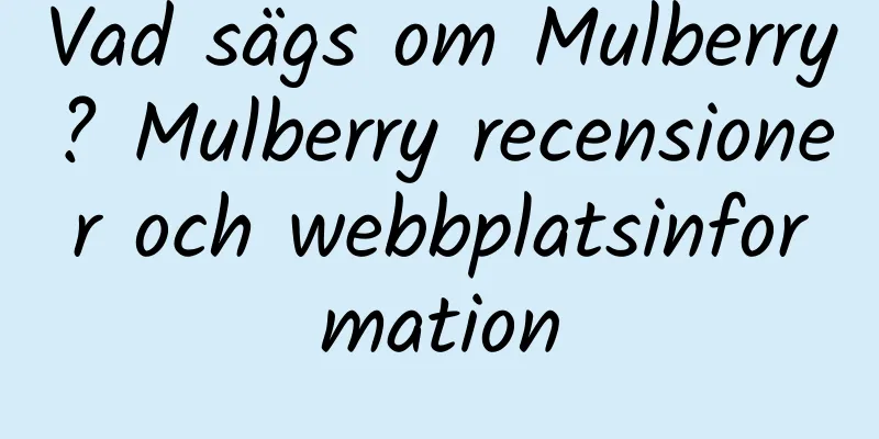 Vad sägs om Mulberry? Mulberry recensioner och webbplatsinformation