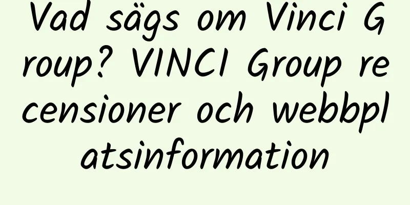 Vad sägs om Vinci Group? VINCI Group recensioner och webbplatsinformation