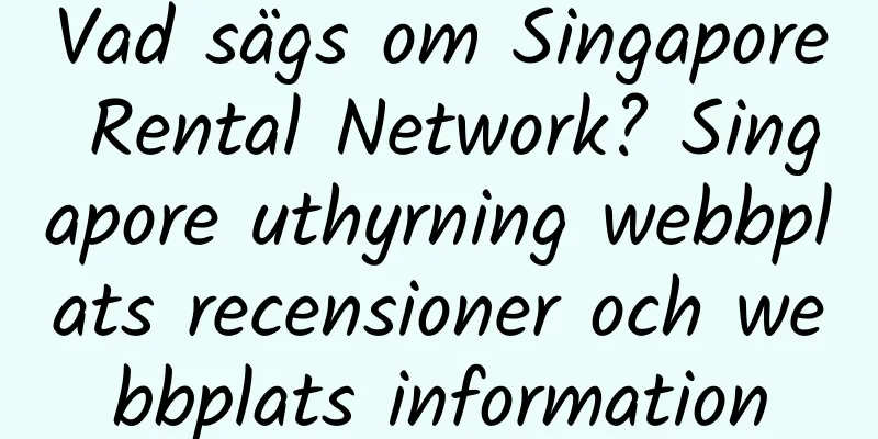 Vad sägs om Singapore Rental Network? Singapore uthyrning webbplats recensioner och webbplats information