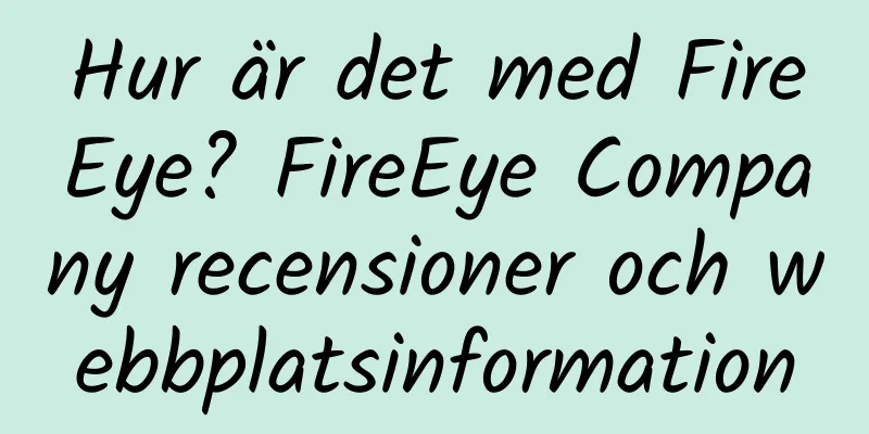 Hur är det med FireEye? FireEye Company recensioner och webbplatsinformation