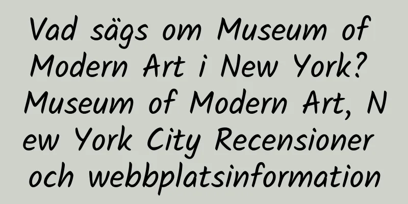 Vad sägs om Museum of Modern Art i New York? Museum of Modern Art, New York City Recensioner och webbplatsinformation