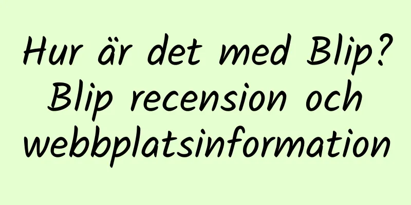 Hur är det med Blip? Blip recension och webbplatsinformation