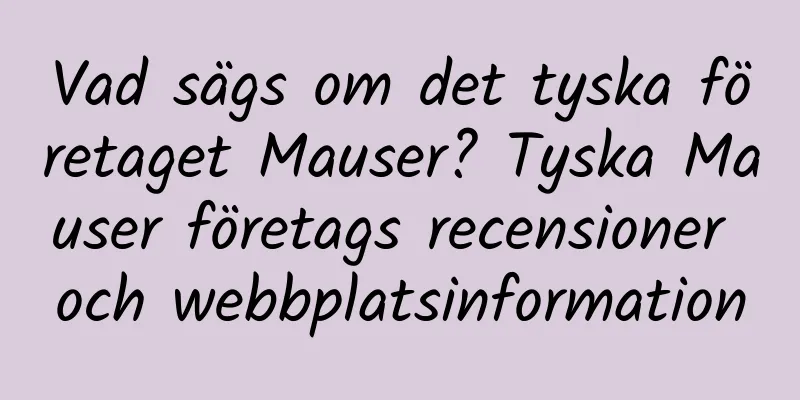 Vad sägs om det tyska företaget Mauser? Tyska Mauser företags recensioner och webbplatsinformation