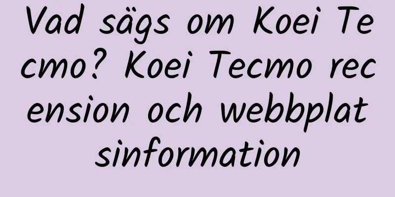 Vad sägs om Koei Tecmo? Koei Tecmo recension och webbplatsinformation