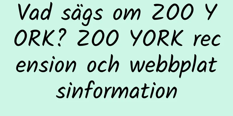 Vad sägs om ZOO YORK? ZOO YORK recension och webbplatsinformation