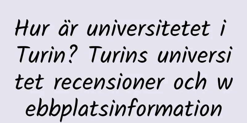 Hur är universitetet i Turin? Turins universitet recensioner och webbplatsinformation