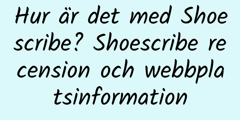 Hur är det med Shoescribe? Shoescribe recension och webbplatsinformation