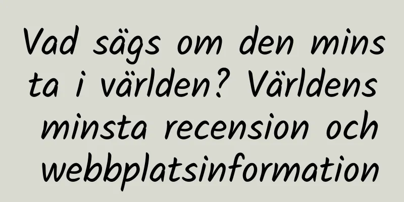 Vad sägs om den minsta i världen? Världens minsta recension och webbplatsinformation