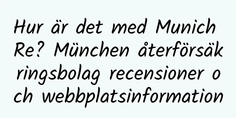 Hur är det med Munich Re? München återförsäkringsbolag recensioner och webbplatsinformation