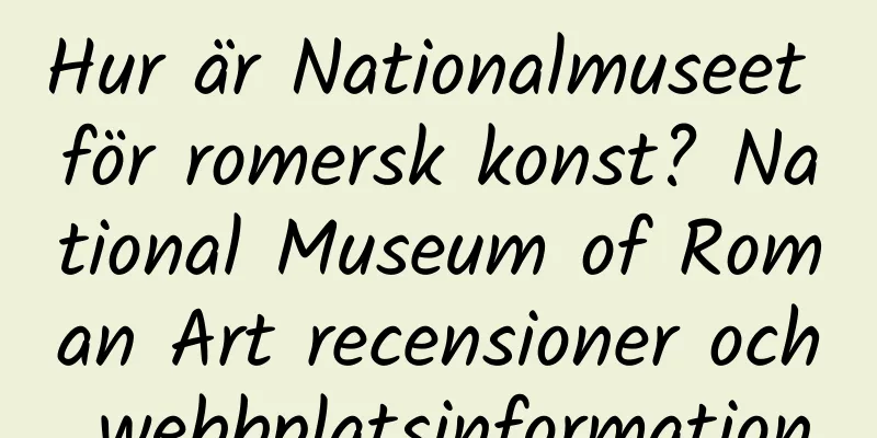 Hur är Nationalmuseet för romersk konst? National Museum of Roman Art recensioner och webbplatsinformation