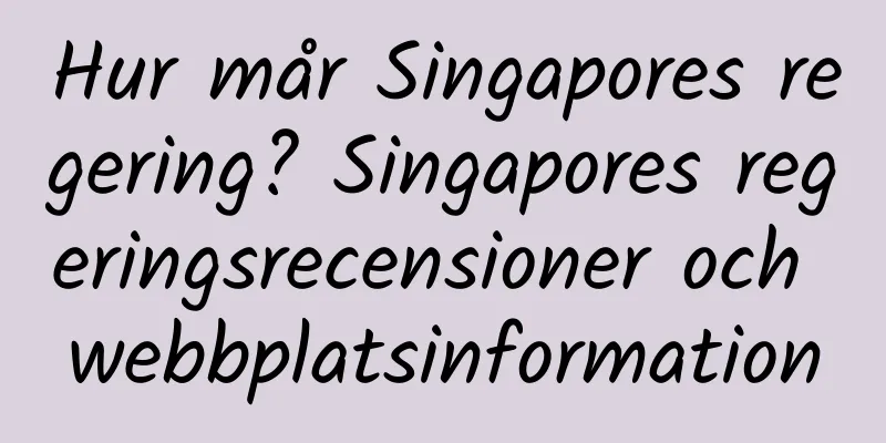 Hur mår Singapores regering? Singapores regeringsrecensioner och webbplatsinformation