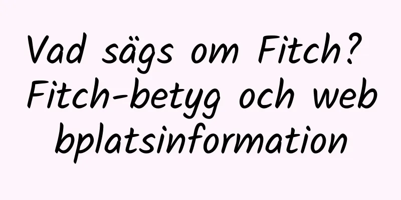 Vad sägs om Fitch? Fitch-betyg och webbplatsinformation