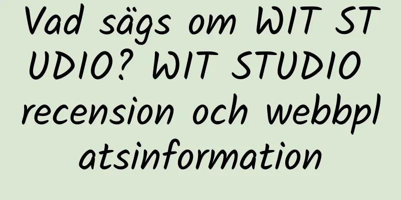 Vad sägs om WIT STUDIO? WIT STUDIO recension och webbplatsinformation