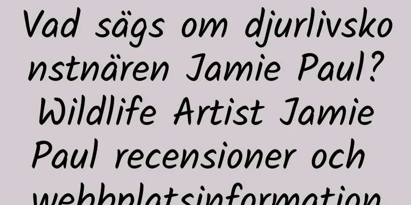 Vad sägs om djurlivskonstnären Jamie Paul? Wildlife Artist Jamie Paul recensioner och webbplatsinformation