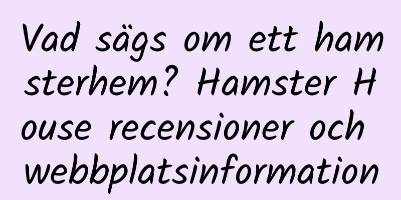 Vad sägs om ett hamsterhem? Hamster House recensioner och webbplatsinformation