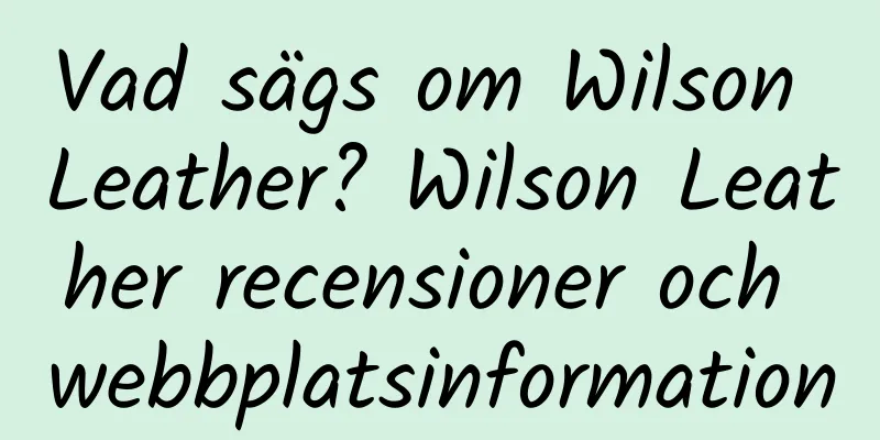 Vad sägs om Wilson Leather? Wilson Leather recensioner och webbplatsinformation