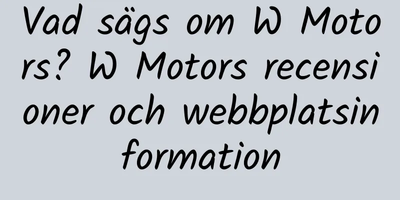 Vad sägs om W Motors? W Motors recensioner och webbplatsinformation
