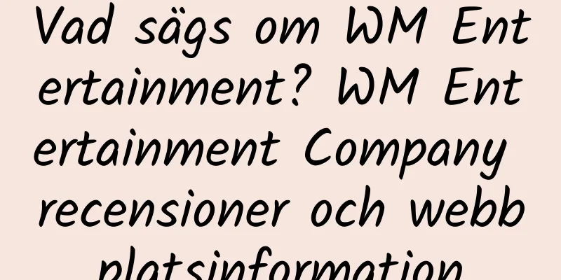 Vad sägs om WM Entertainment? WM Entertainment Company recensioner och webbplatsinformation