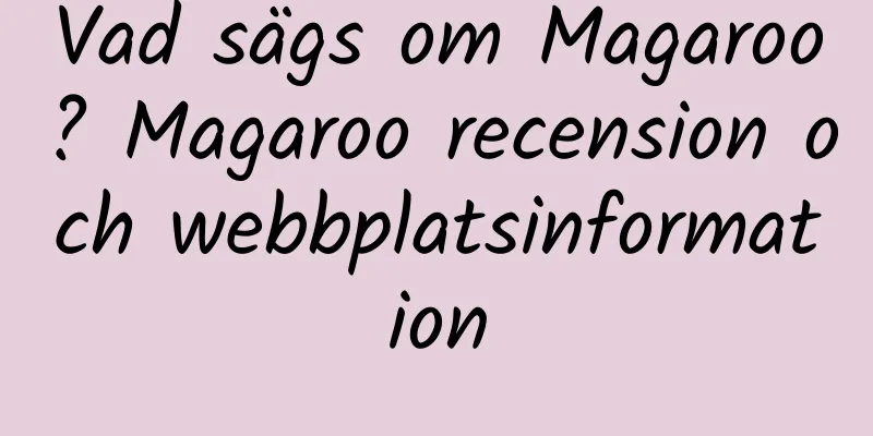 Vad sägs om Magaroo? Magaroo recension och webbplatsinformation