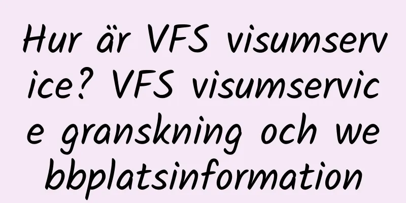 Hur är VFS visumservice? VFS visumservice granskning och webbplatsinformation