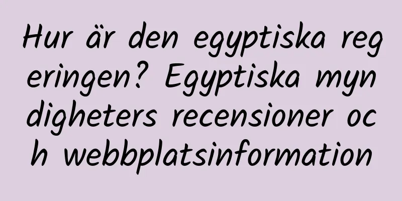 Hur är den egyptiska regeringen? Egyptiska myndigheters recensioner och webbplatsinformation