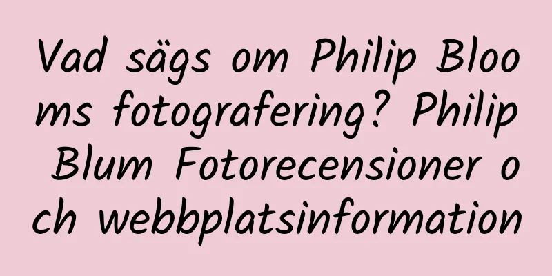 Vad sägs om Philip Blooms fotografering? Philip Blum Fotorecensioner och webbplatsinformation