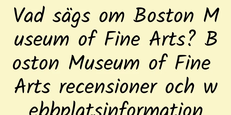 Vad sägs om Boston Museum of Fine Arts? Boston Museum of Fine Arts recensioner och webbplatsinformation