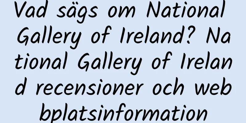 Vad sägs om National Gallery of Ireland? National Gallery of Ireland recensioner och webbplatsinformation