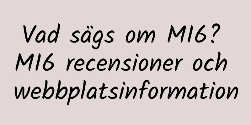 Vad sägs om MI6? MI6 recensioner och webbplatsinformation