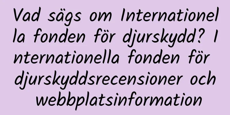Vad sägs om Internationella fonden för djurskydd? Internationella fonden för djurskyddsrecensioner och webbplatsinformation