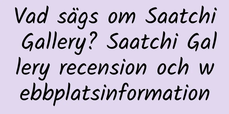 Vad sägs om Saatchi Gallery? Saatchi Gallery recension och webbplatsinformation