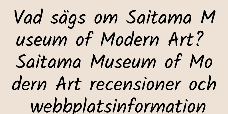 Vad sägs om Saitama Museum of Modern Art? Saitama Museum of Modern Art recensioner och webbplatsinformation