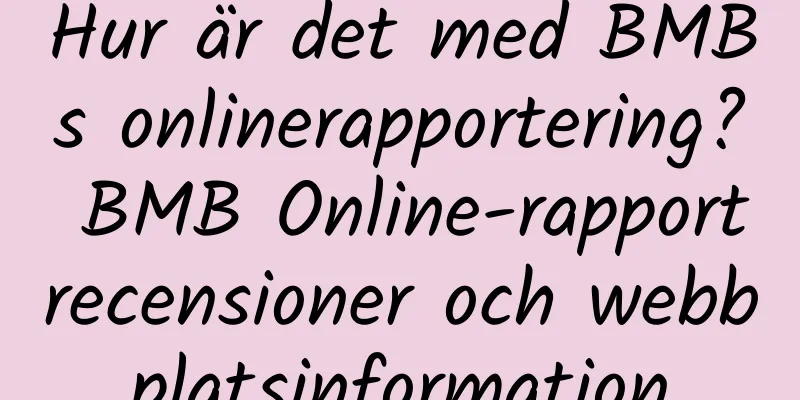 Hur är det med BMBs onlinerapportering? BMB Online-rapportrecensioner och webbplatsinformation