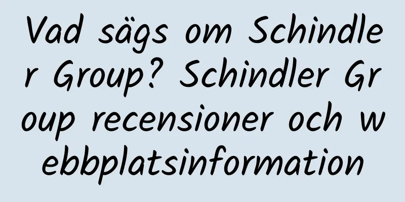 Vad sägs om Schindler Group? Schindler Group recensioner och webbplatsinformation