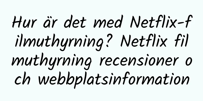 Hur är det med Netflix-filmuthyrning? Netflix filmuthyrning recensioner och webbplatsinformation