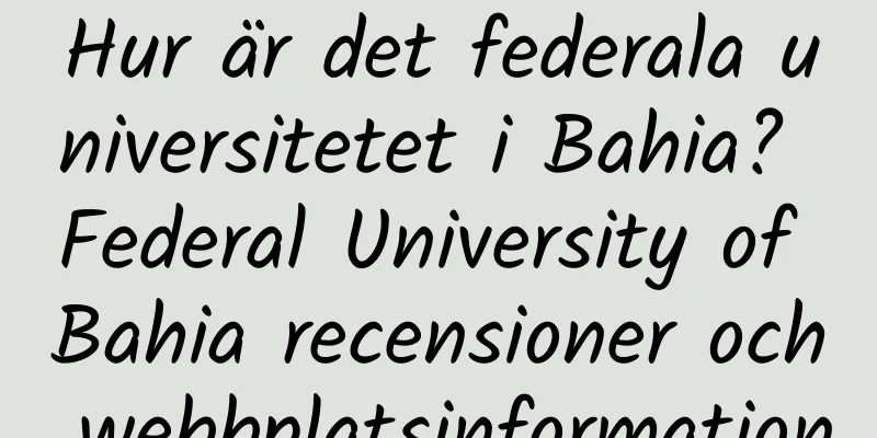 Hur är det federala universitetet i Bahia? Federal University of Bahia recensioner och webbplatsinformation