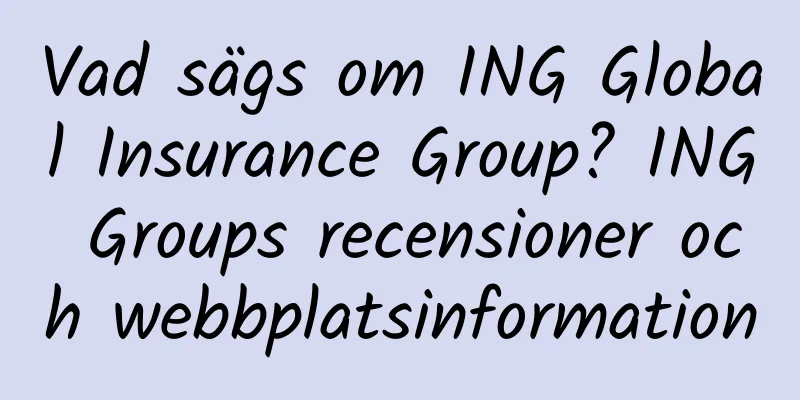 Vad sägs om ING Global Insurance Group? ING Groups recensioner och webbplatsinformation