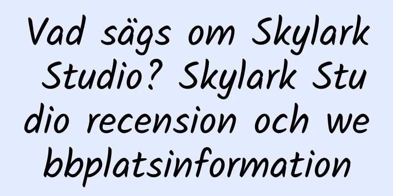 Vad sägs om Skylark Studio? Skylark Studio recension och webbplatsinformation